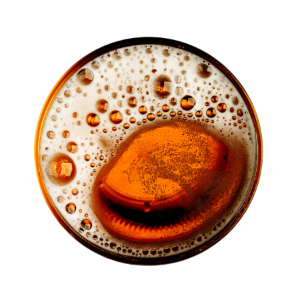 spin-img